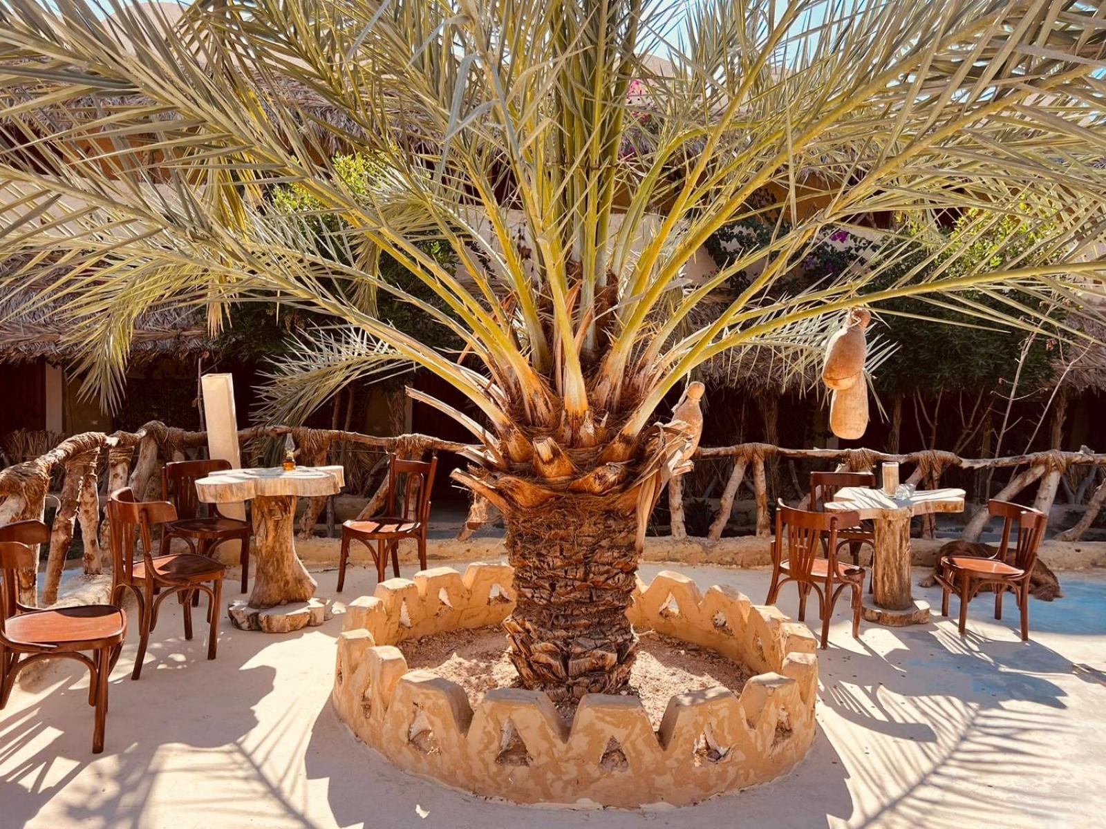 Aghurmi Siwa Ecolodge & Salt Cave Siwa Oasis Exterior foto